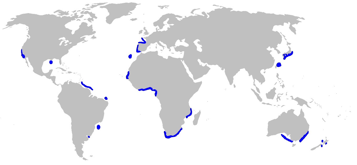 map of goblin shark habitats